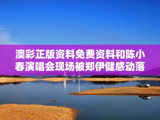 澳彩正版资料免费资料	和陈小春演唱会现场被郑伊健感动落泪与陈小春演唱会郑伊健等四人到场