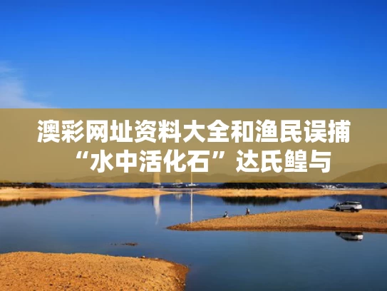 澳彩网址资料大全	和渔民误捕“水中活化石”达氏鳇与