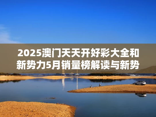 2025澳门天天开好彩大全和新势力5月销量榜解读与新势力5月销量榜解读图