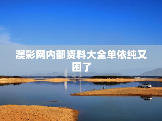 澳彩网内部资料大全	单依纯又困了