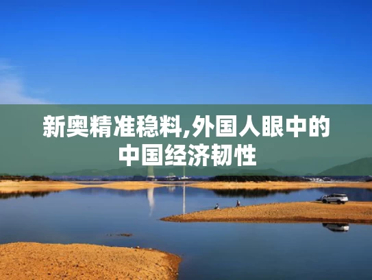 新奥精准稳料,外国人眼中的中国经济韧性