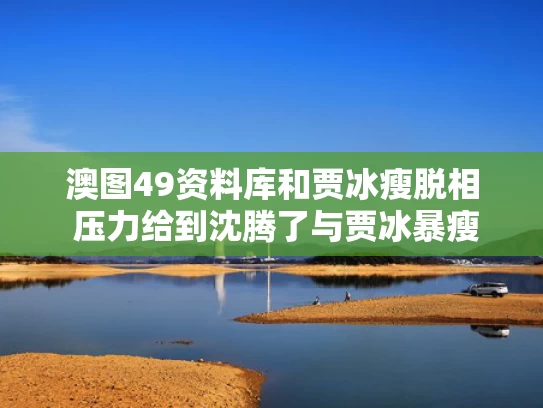 澳图49资料库和贾冰瘦脱相 压力给到沈腾了与贾冰暴瘦