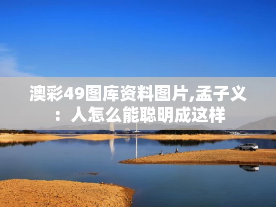 澳彩49图库资料图片,孟子义：人怎么能聪明成这样