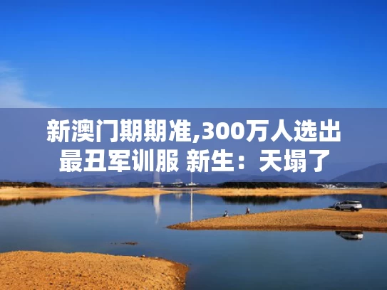新澳门期期准,300万人选出最丑军训服 新生：天塌了