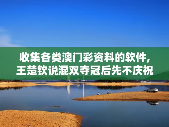 收集各类澳门彩资料的软件,王楚钦说混双夺冠后先不庆祝