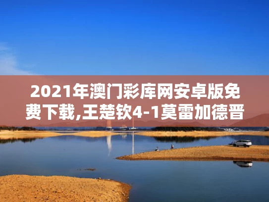 2021年澳门彩库网安卓版免费下载,王楚钦4-1莫雷加德晋级决赛