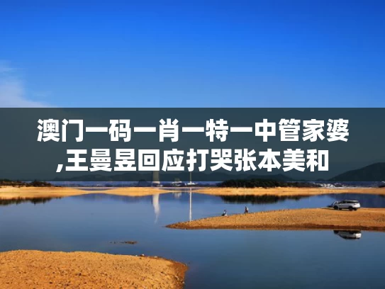 澳门一码一肖一特一中管家婆,王曼昱回应打哭张本美和