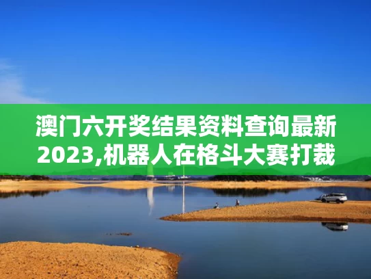 澳门六开奖结果资料查询最新2023,机器人在格斗大赛打裁判