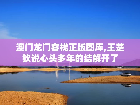 澳门龙门客栈正版图库,王楚钦说心头多年的结解开了