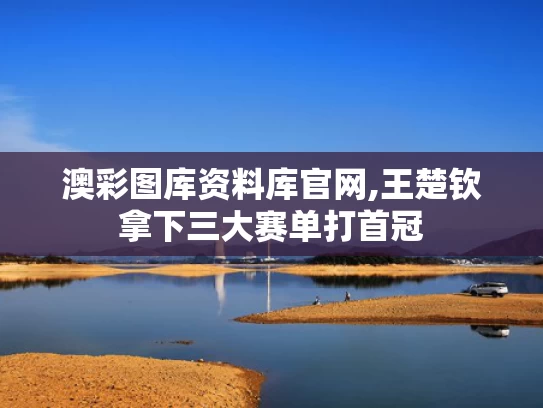 澳彩图库资料库官网,王楚钦拿下三大赛单打首冠