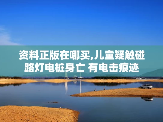 资料正版在哪买,儿童疑触碰路灯电桩身亡 有电击痕迹
