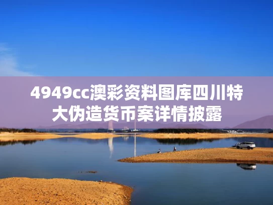 4949cc澳彩资料图库	四川特大伪造货币案详情披露