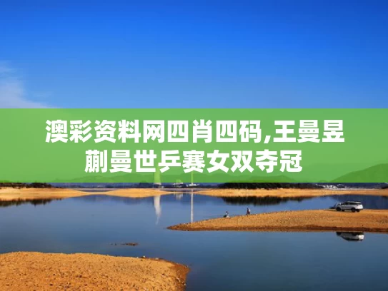 澳彩资料网四肖四码,王曼昱蒯曼世乒赛女双夺冠