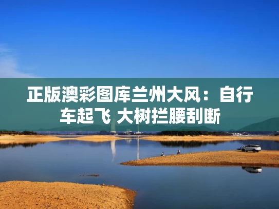 正版澳彩图库	兰州大风：自行车起飞 大树拦腰刮断