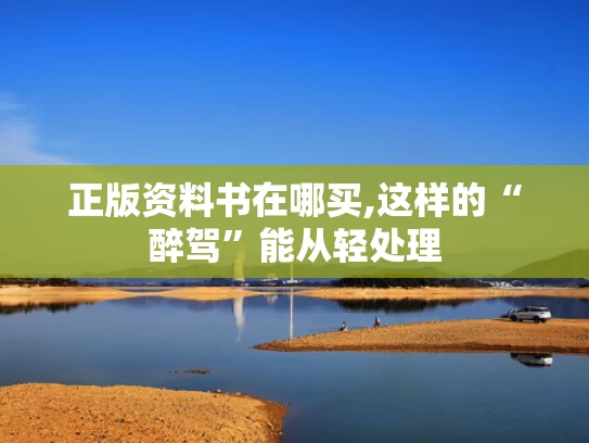 正版资料书在哪买,这样的“醉驾”能从轻处理