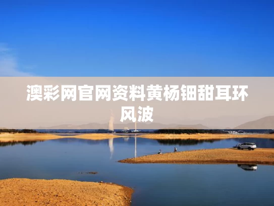 澳彩网官网资料	黄杨钿甜耳环风波