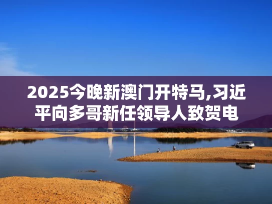 2025今晚新澳门开特马,习近平向多哥新任领导人致贺电