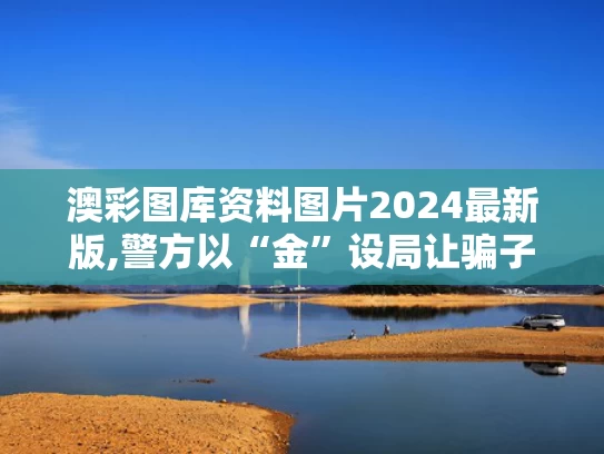 澳彩图库资料图片2024最新版,警方以“金”设局让骗子自投罗网