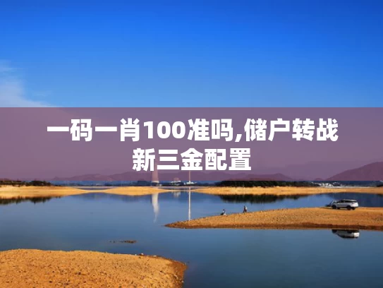 一码一肖100准吗,储户转战新三金配置