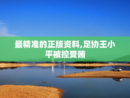 最精准的正版资料,足协王小平被控受贿