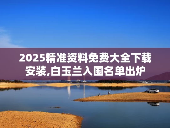 2025精准资料免费大全下载安装,白玉兰入围名单出炉