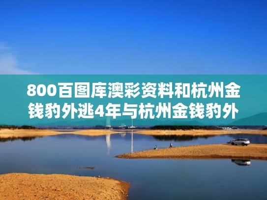 800百图库澳彩资料	和杭州金钱豹外逃4年与杭州金钱豹外逃视频
