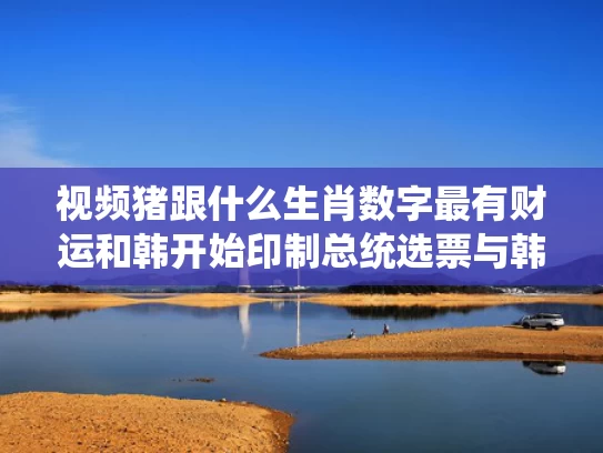 视频猪跟什么生肖数字最有财运和韩开始印制总统选票与韩总统选举