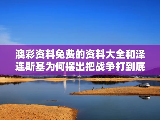 澳彩资料免费的资料大全	和泽连斯基为何摆出把战争打到底姿态与泽连斯基好帅