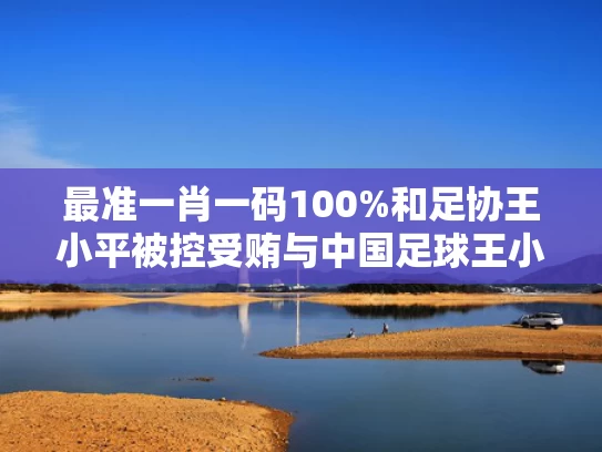 最准一肖一码100%和足协王小平被控受贿与中国足球王小平