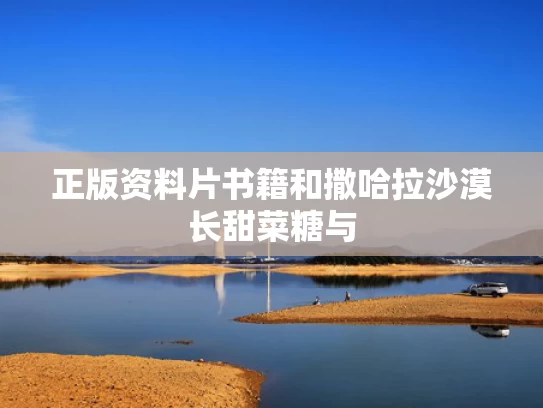 正版资料片书籍和撒哈拉沙漠长甜菜糖与