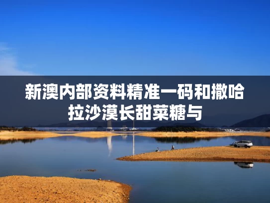 新澳内部资料精准一码和撒哈拉沙漠长甜菜糖与