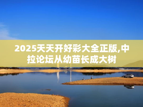 2025天天开好彩大全正版,中拉论坛从幼苗长成大树