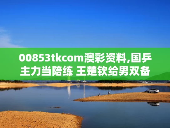 00853tkcom澳彩资料,国乒主力当陪练 王楚钦给男双备战