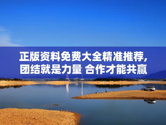 正版资料免费大全精准推荐,团结就是力量 合作才能共赢