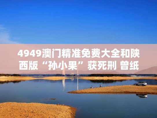 4949澳门精准免费大全和陕西版“孙小果”获死刑 曾纸面服刑与陕西又现孙小果