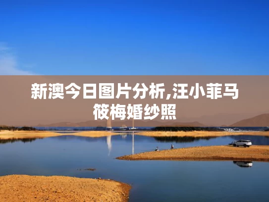 新澳今日图片分析,汪小菲马筱梅婚纱照