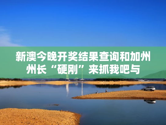 新澳今晚开奖结果查询和加州州长“硬刚”来抓我吧与