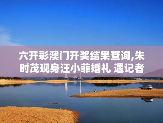 六开彩澳门开奖结果查询,朱时茂现身汪小菲婚礼 遇记者速逃离