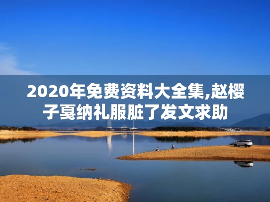 2020年免费资料大全集,赵樱子戛纳礼服脏了发文求助