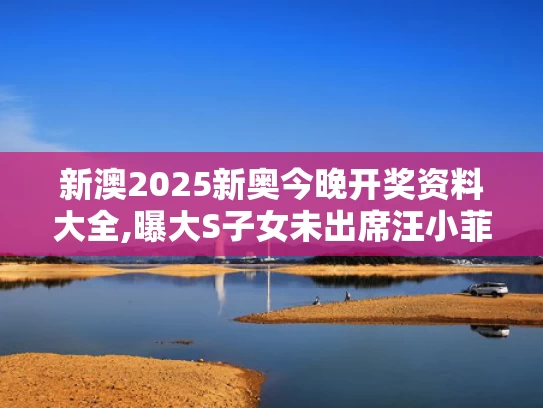 新澳2025新奥今晚开奖资料大全,曝大S子女未出席汪小菲婚礼