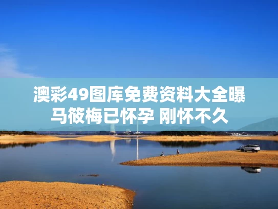 2025年5月19日 第5页