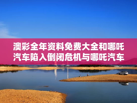 澳彩全年资料免费大全	和哪吒汽车陷入倒闭危机与哪吒汽车2022