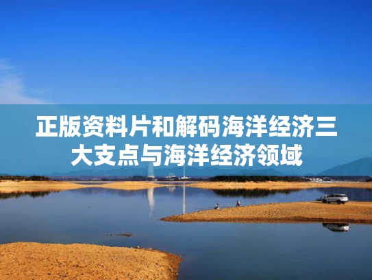 正版资料片和解码海洋经济三大支点与海洋经济领域