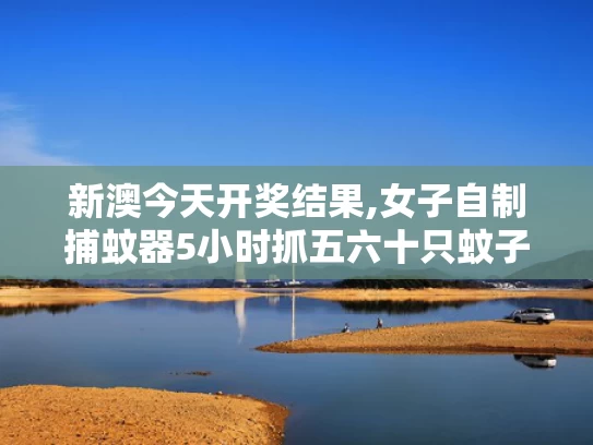 新澳今天开奖结果,女子自制捕蚊器5小时抓五六十只蚊子
