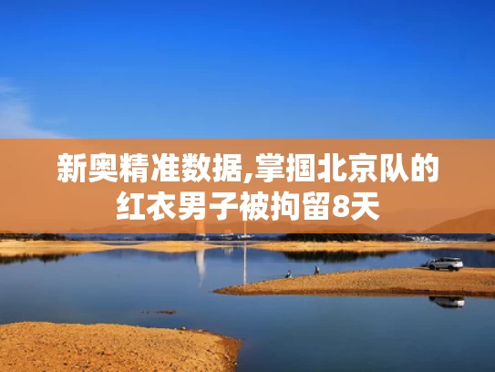 新奥精准数据,掌掴北京队的红衣男子被拘留8天