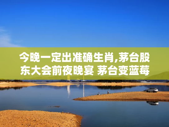 今晚一定出准确生肖,茅台股东大会前夜晚宴 茅台变蓝莓汁