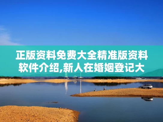 正版资料免费大全精准版资料软件介绍,新人在婚姻登记大厅打架？系摆拍