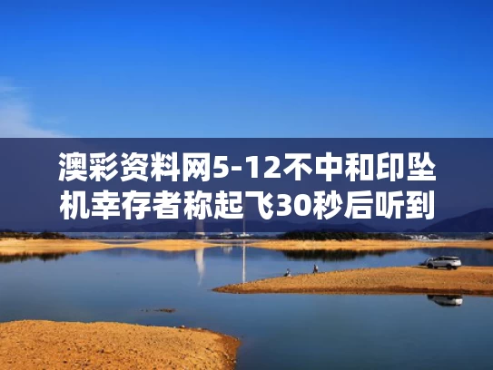 澳彩资料网5-12不中和印坠机幸存者称起飞30秒后听到巨响与印度坠机