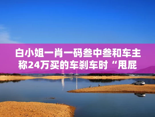 白小姐一肖一码叁中叁和车主称24万买的车刹车时“甩屁股”与