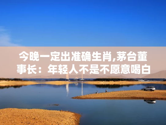 今晚一定出准确生肖,茅台董事长：年轻人不是不愿意喝白酒